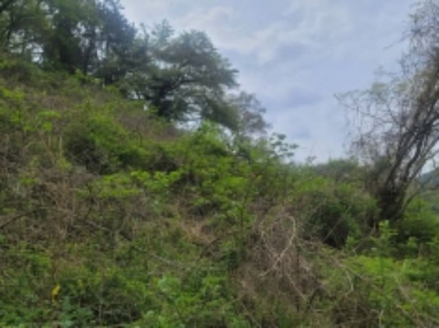 B000422202401300222787.jpg