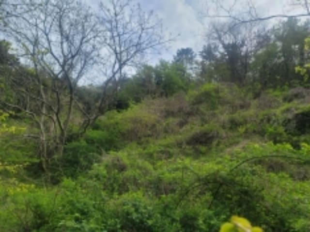 B000422202401300222789.jpg