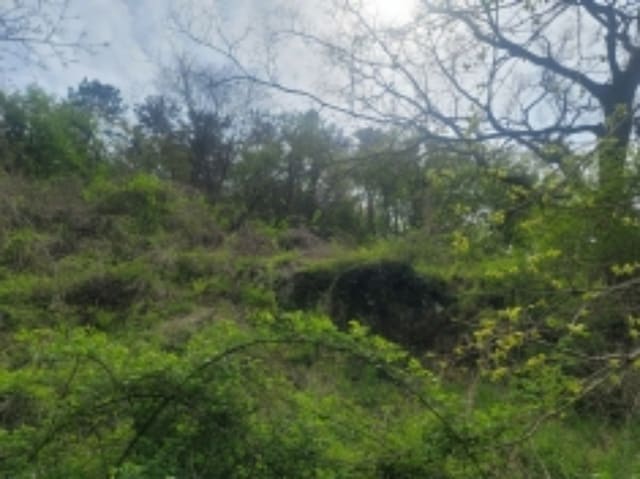 B0004222024013002227810.jpg