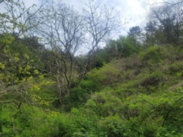 B000422202401300222788.jpg
