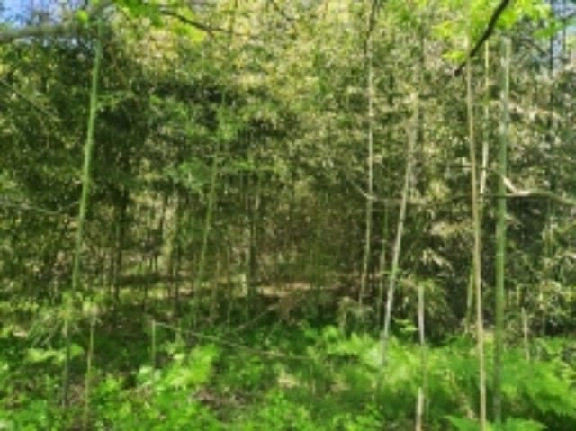 B000422202401300237902.jpg