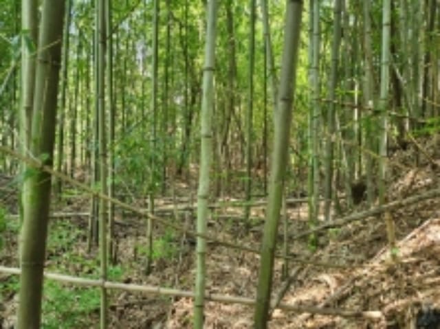 B000422202401300237904.jpg
