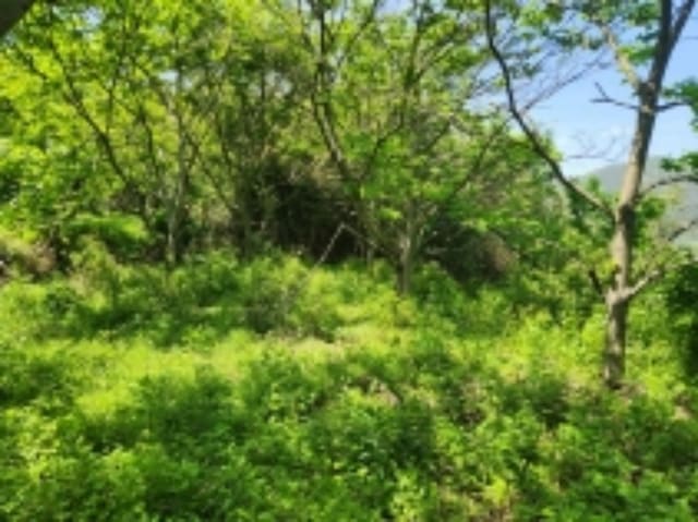 B000422202401300237901.jpg