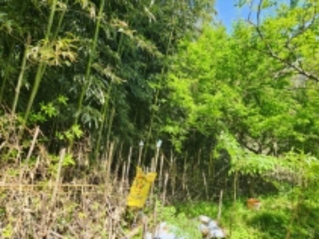 B000422202401300237903.jpg