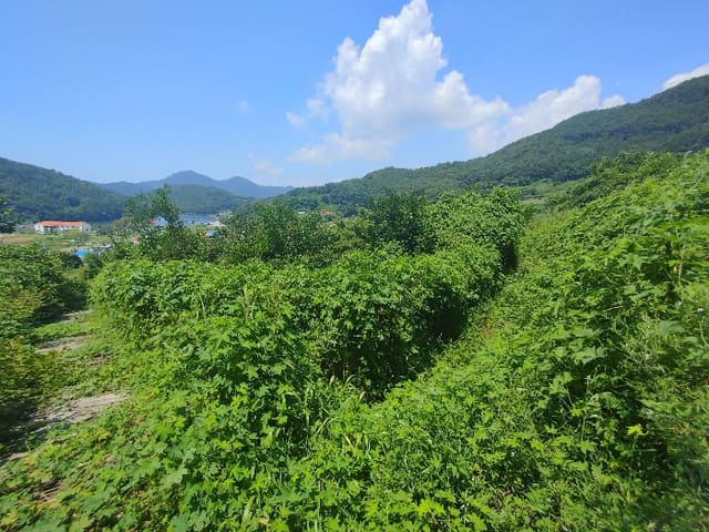 B000422202401300280234.jpg