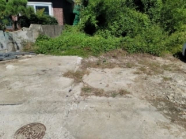 B000422202401300280232.jpg
