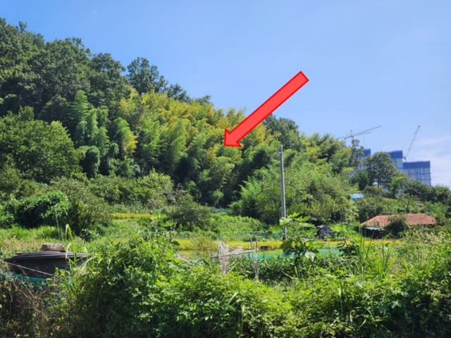 B000422202401300285974.jpg