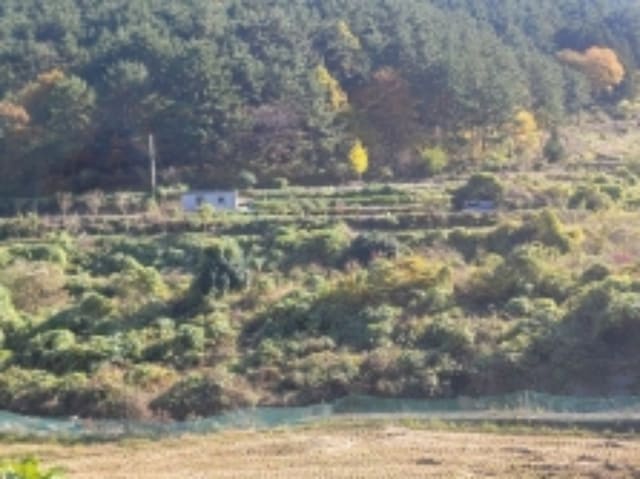 B000422202401300298664.jpg