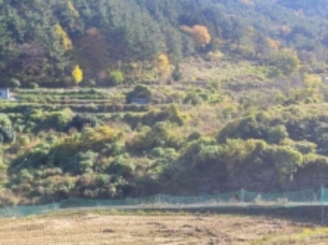 B000422202401300298663.jpg