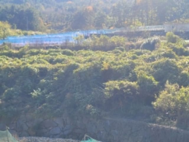 B000422202401300298661.jpg