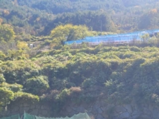 B000422202401300298662.jpg
