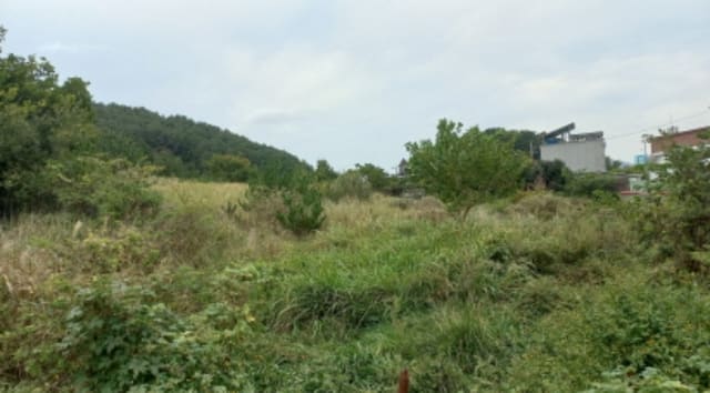 B000422202401300304773.jpg