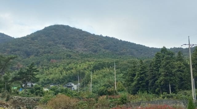 B000422202401300309962.jpg