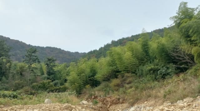 B000422202401300309964.jpg
