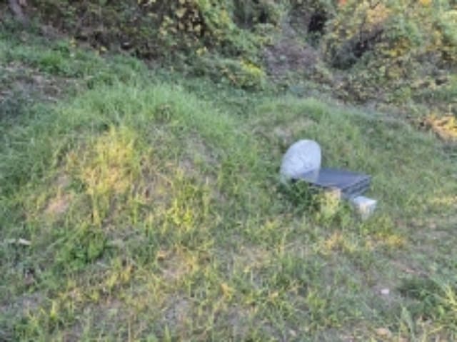 B000422202401300311732.jpg