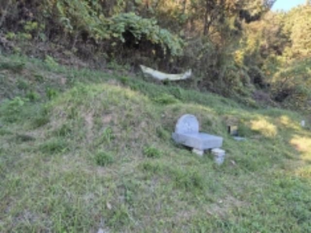B000422202401300311731.jpg