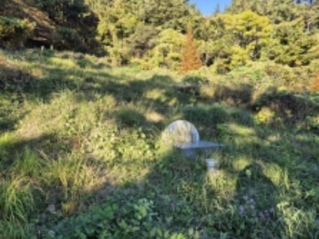 B000422202401300311734.jpg