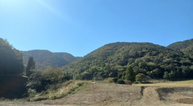 B000422202401300312652.jpg