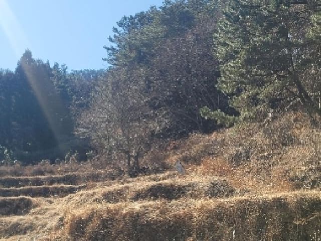 B000422202401300327561.jpg