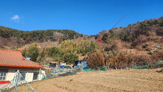 B000422202401300330874.jpg