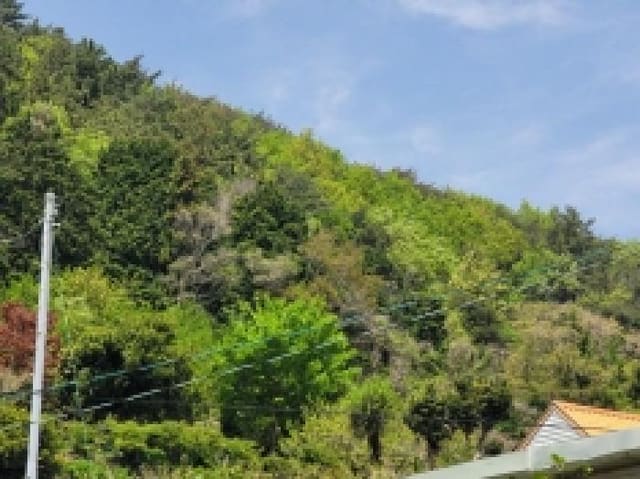 B000422202501300003672.jpg