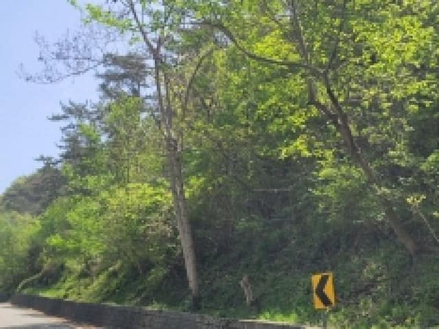 B000422202501300003674.jpg