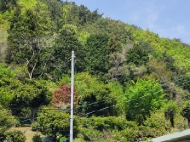 B000422202501300003671.jpg