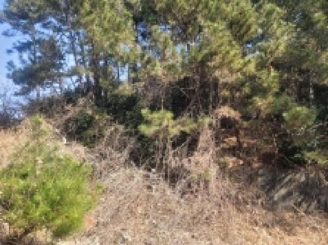 B000422202501300003722.jpg
