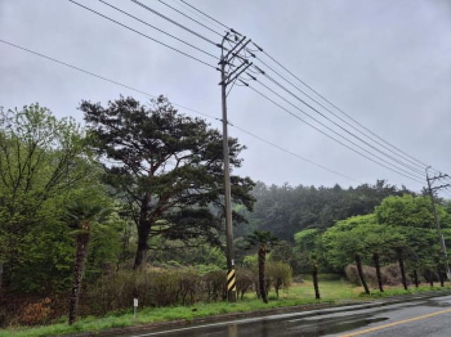 B000422202501300004012.jpg