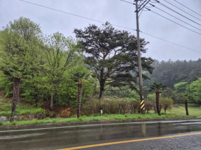 B000422202501300004011.jpg