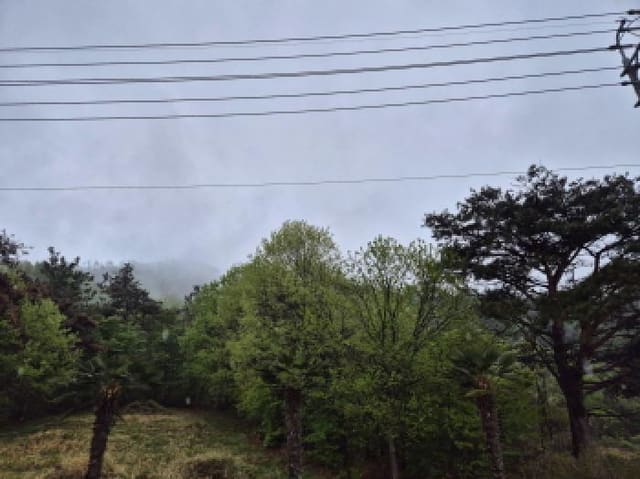 B000422202501300004013.jpg