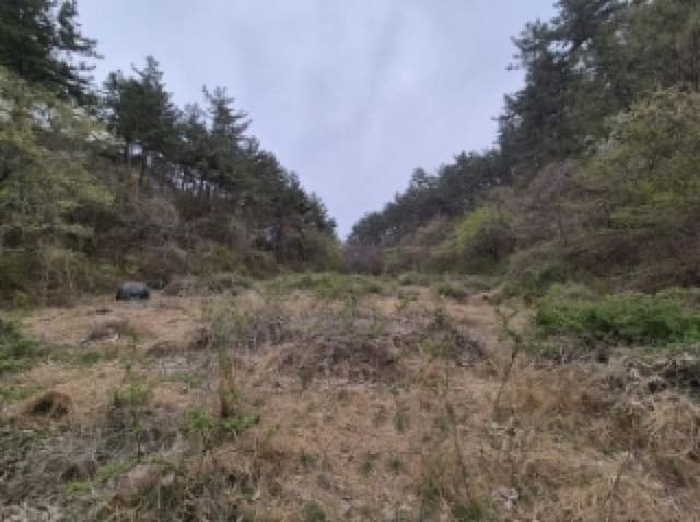 B000422202501300004291.jpg