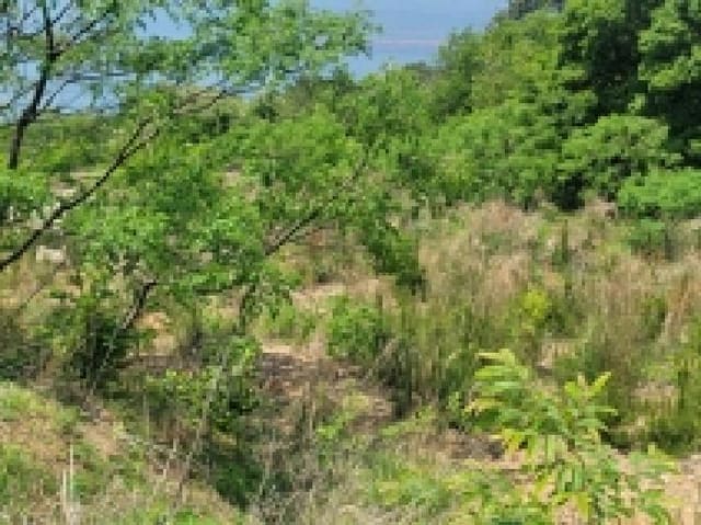 B000422202501300004504.jpg