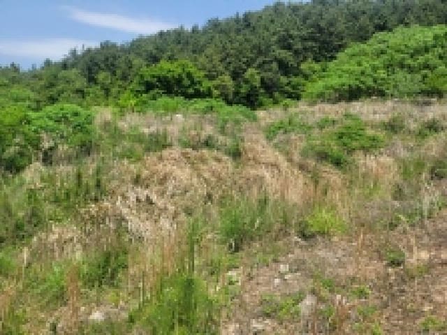 B000422202501300004501.jpg