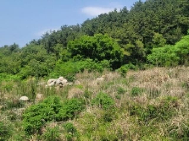 B000422202501300004502.jpg