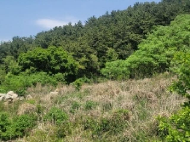 B000422202501300004503.jpg