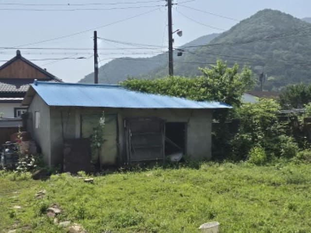 B000422202501300004893.jpg