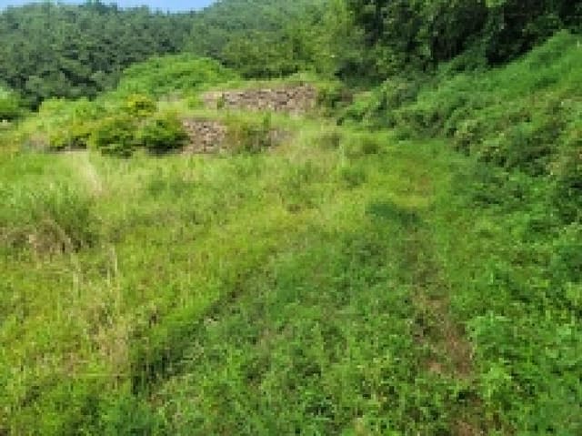 B000422202501300005461.jpg