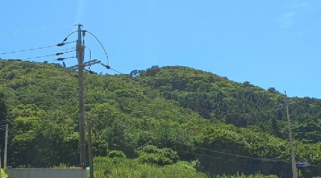 B000422202501300005483.jpg