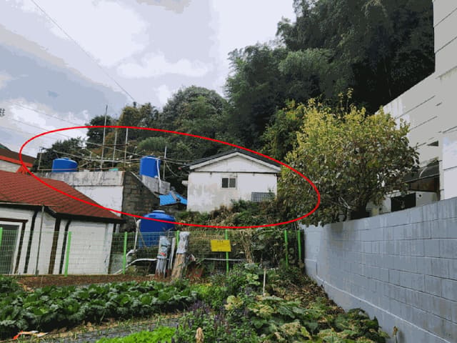 B000422202501300006223.jpg