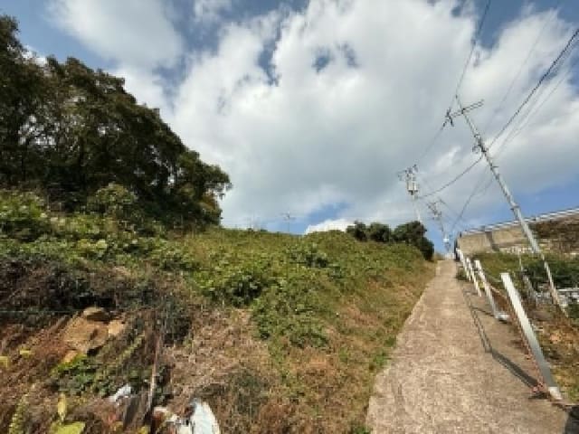 B000422202501300006462.jpg