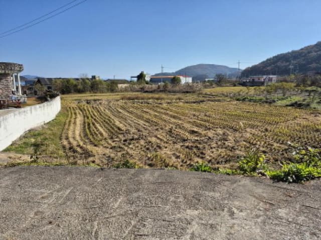 B000422202501300006613.jpg
