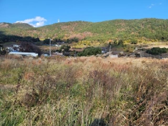 B000422202501300006771.jpg
