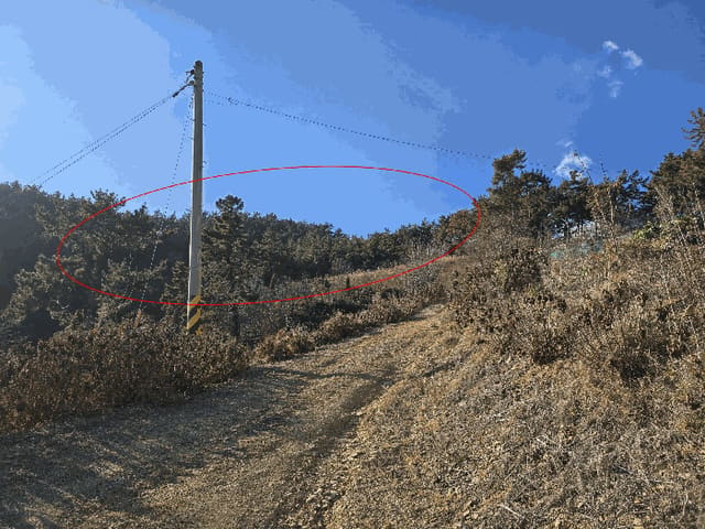 B000422202501300006924.jpg