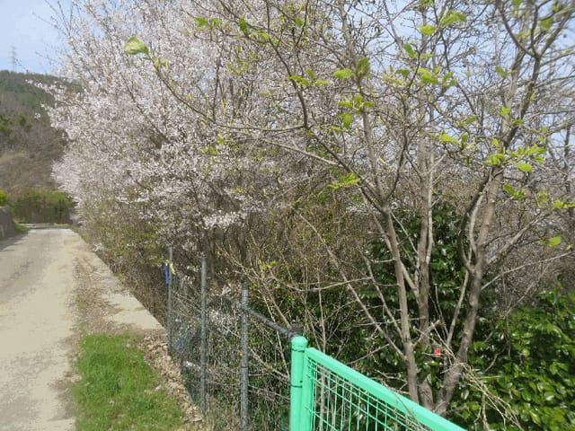 B000422202501300006984.jpg