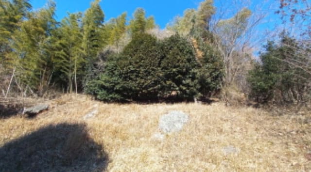 B000422202501300204841.jpg