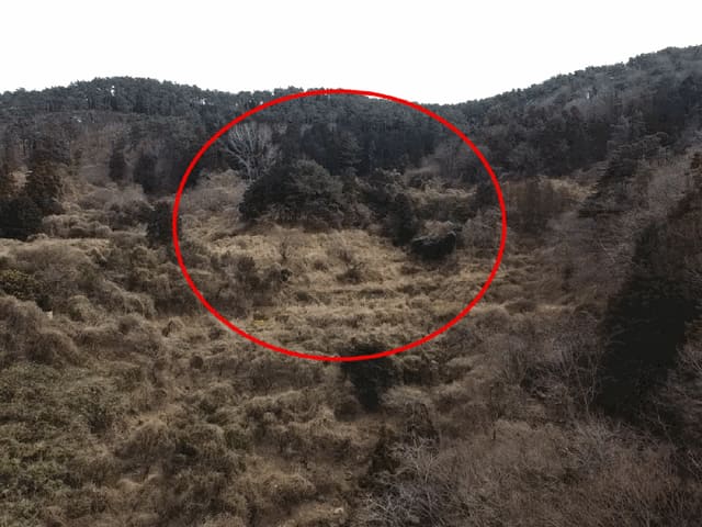 B000422202501300210204.jpg