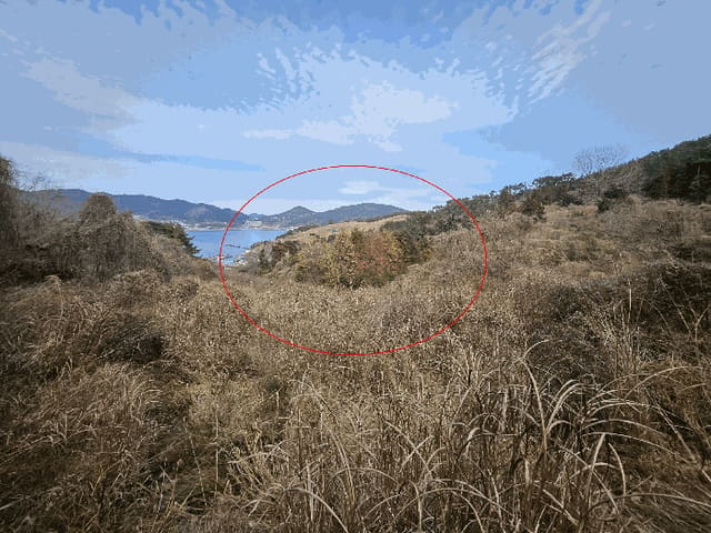B000422202501300210203.jpg