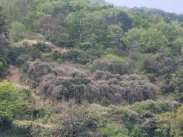 B000422202501300210222.jpg