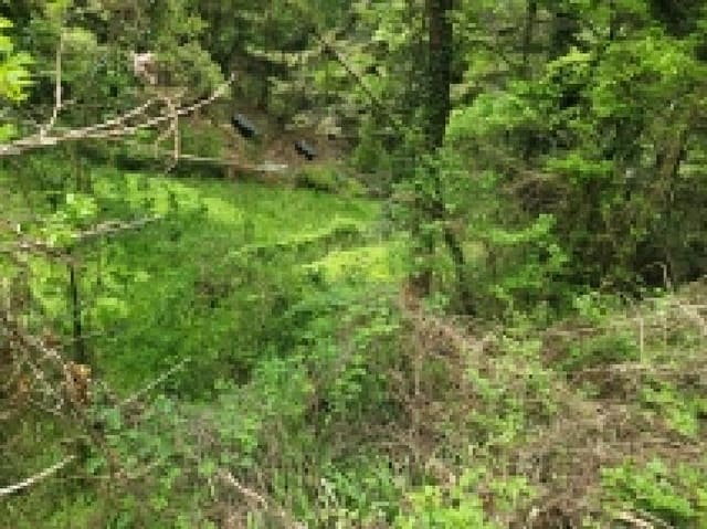 B000422202501300210224.jpg